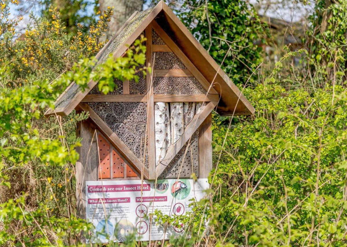 Wareham Forest Lodge Retreat Lytchett Minster ภายนอก รูปภาพ