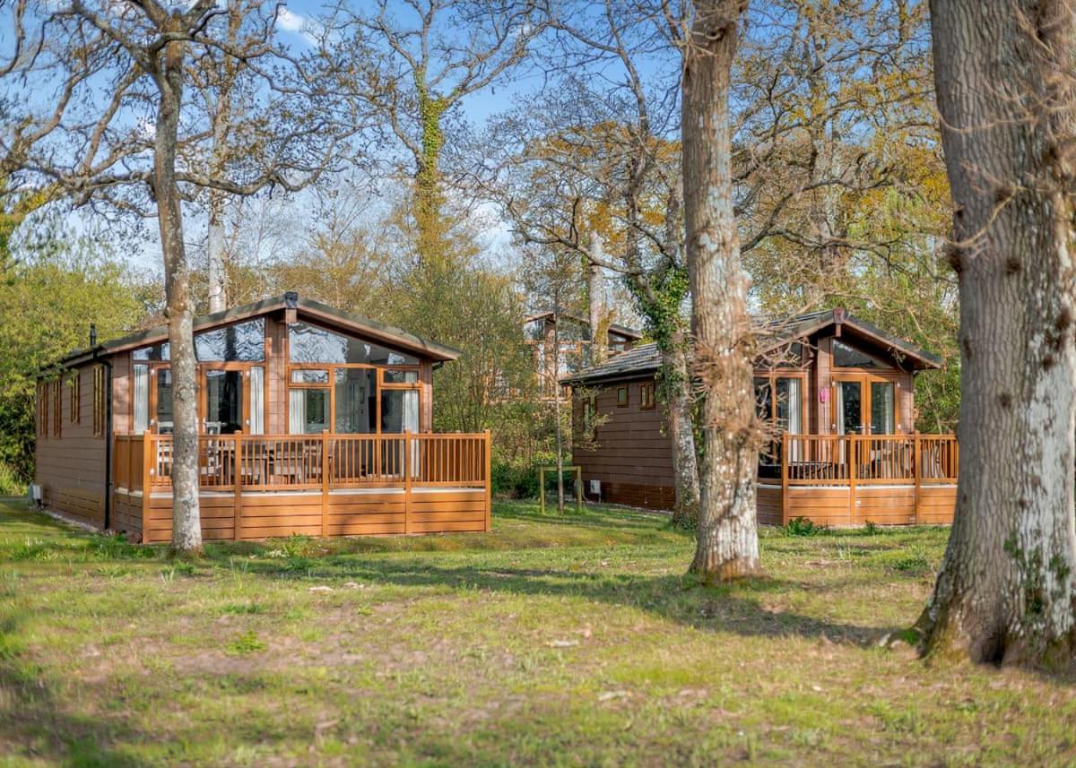 Wareham Forest Lodge Retreat Lytchett Minster ภายนอก รูปภาพ