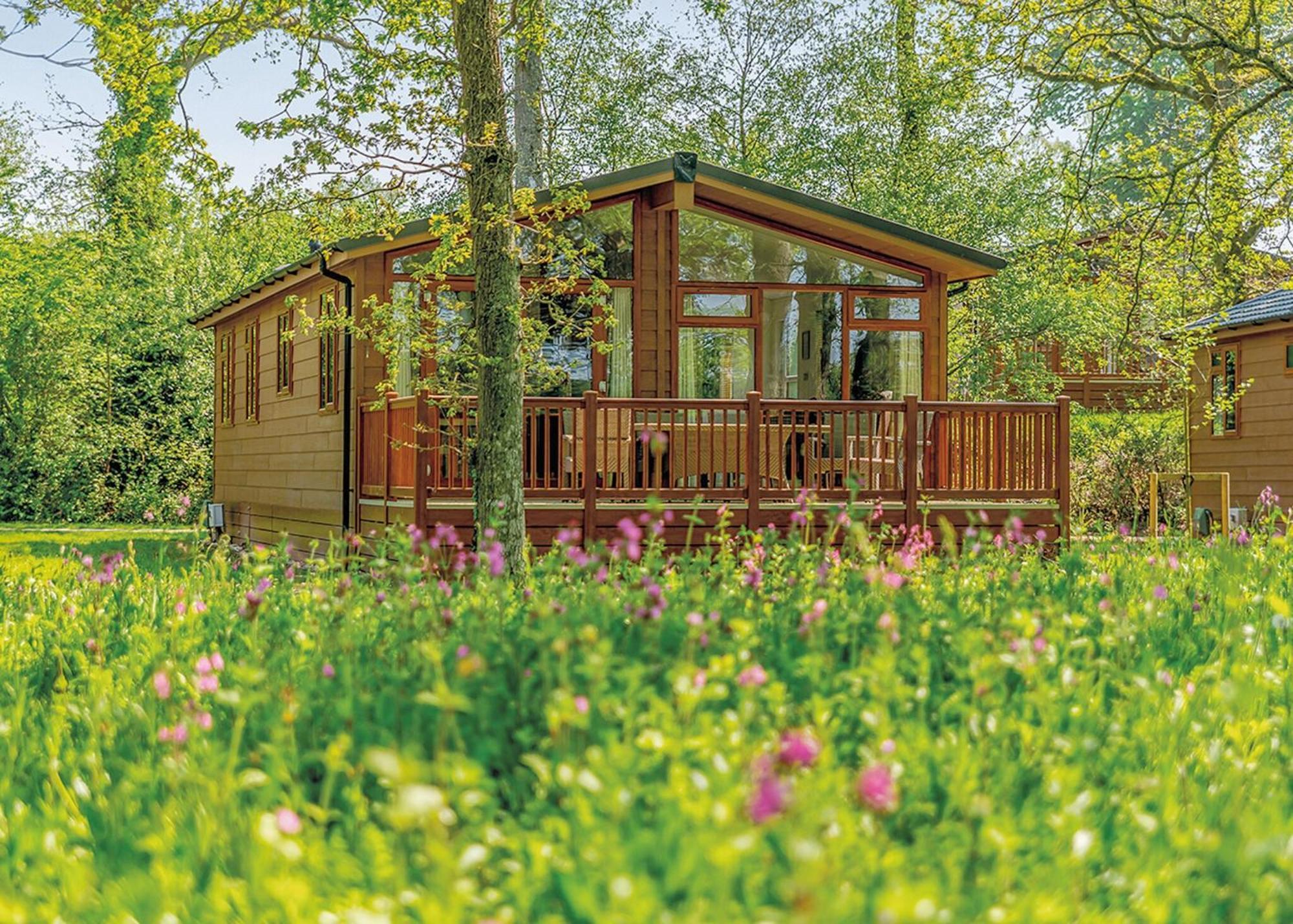 Wareham Forest Lodge Retreat Lytchett Minster ภายนอก รูปภาพ